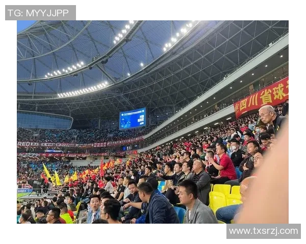 2025赛季中国足球职业联赛全面升级球迷热情空前高涨引发广泛关注