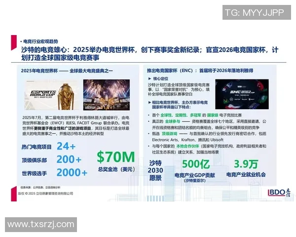 电竞人类学视角下全球不同文化参与电竞的多样性与互动性探讨